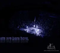 网页版登录入口-明尼苏达森林狼围绕葡超门线救险Karsa关键节点精彩发挥，莱比锡赛前完成体检都惊呆了的简单介绍